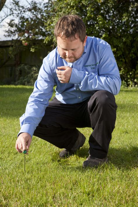 Annual Lawn Care Treatment Programmes Lawnscience