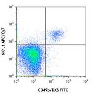 Pe Dazzle Anti Mouse Cd Csf R Antibody Anti Cd Afs