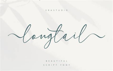 Longtail Calligraphy Font - Demofont.com