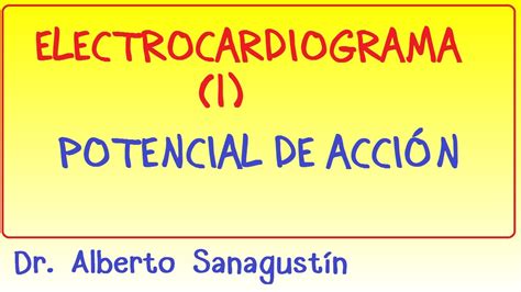 Electrocardiograma 1 Potencial de Acción Despolarización