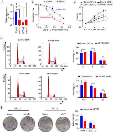 PVT1 Promotes Resistance To 5FU In Colon Cancer Via The MiR4865p