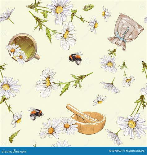 Chamomile Seamless Pattern Stock Vector Illustration Of Beverage