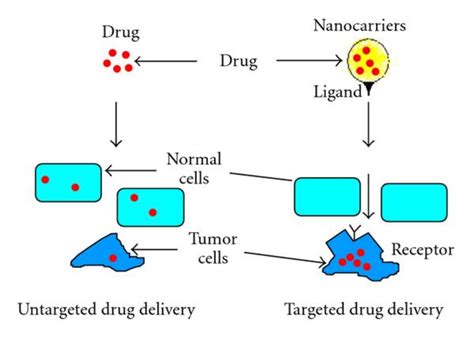 Schematic Of Nanocarrier Systems For Site Targeted Drug Delivery Cited