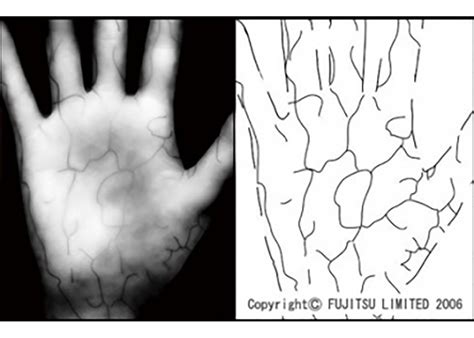 Microsoft and Fujitsu enable Windows 10 login using a palm vein scan