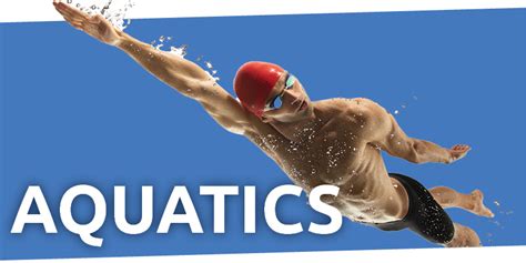 aquatics marjorie lewis katz jcc