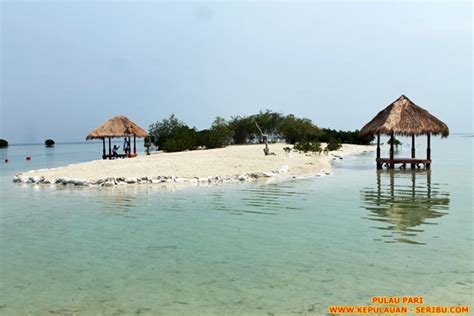 Pulau Pari Keindahan Pantai Pasir Putih Di Pantai Perawan Kumparan