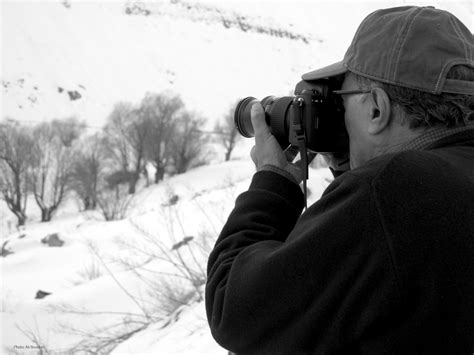 Abbas Kiarostami: The Man and His Arts - Near Eastern Languages ...