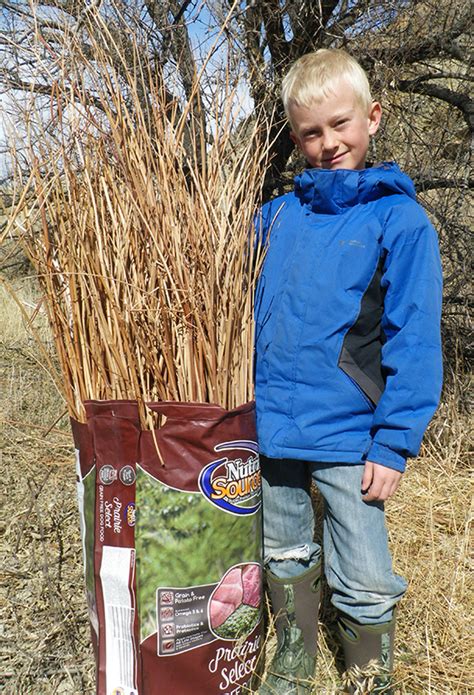 Ties to Our Surroundings: Making Rope from Dogbane - A Yellowstone Life