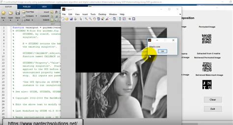 Robust Image Watermarking Applications Using SVD