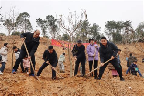 同心聚力、共建绿美广东植树节活动圆满举行 广东环保公益网 广东省环境保护基金会