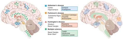 Brain Sciences Free Full Text Neurodegenerative Diseases