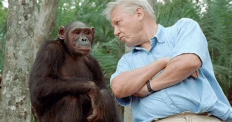 David Attenborough Netflix series Our Planet is here, with all new footage