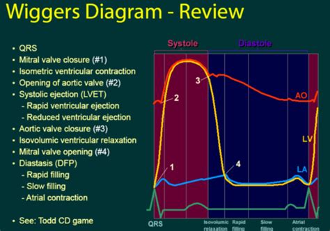 Hemodynamics Flashcards Quizlet