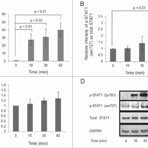 Effect Of BATF2 Silencing On The Invasion Of HTR 8 SVneo Cells Treated