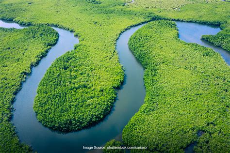 Fakta Amazon Salah Satu Sungai Terpanjang Yang Ada Di Dunia SUPERLIVE