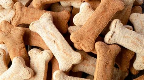 Cuáles son los ingredientes de la receta de galletas para perro de la