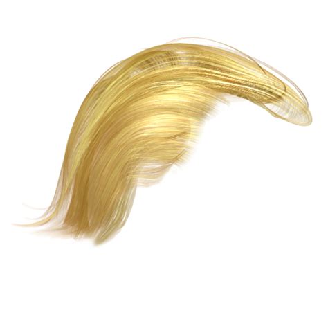 Hair Wig Png Transparent Image Download Size 600x600px