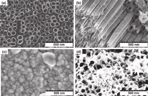 Scanning Electron Micrographs Of Plain Titania Nanostructures Showing