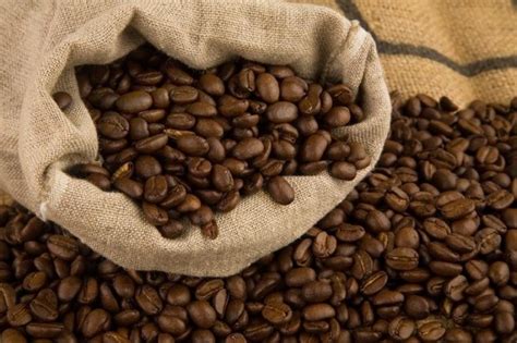 Robusta Coffee Bean Roasted KHOI NGUYEN IMPORT EXPORT KNT GROUP