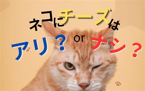 干支に猫が入っていないのはなぜ？十二支の物語 夫婦ブロガー～ネコのいる暮らし～