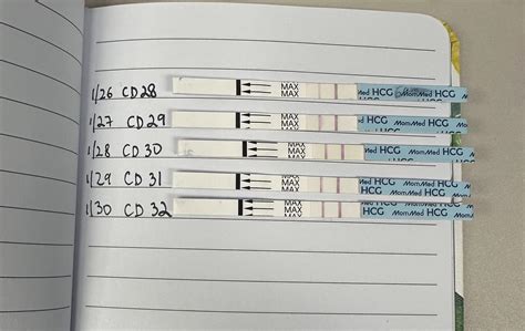 CD 28-32 line progression on MomMed HPT. CD 28 test is the first