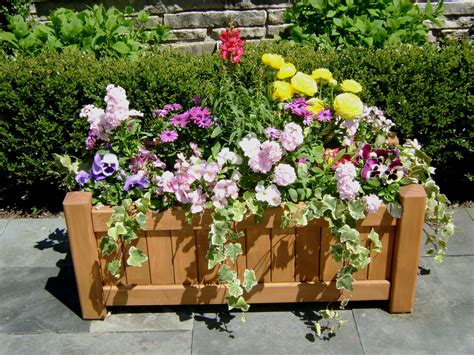 Box Planter With Spring Flowers Flowers Spring Botanical Planters Scottbyronco Planter