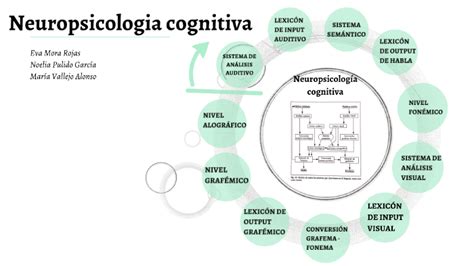 Neuropsicologia Cognitiva By Mar A Vallejo Alonso On Prezi