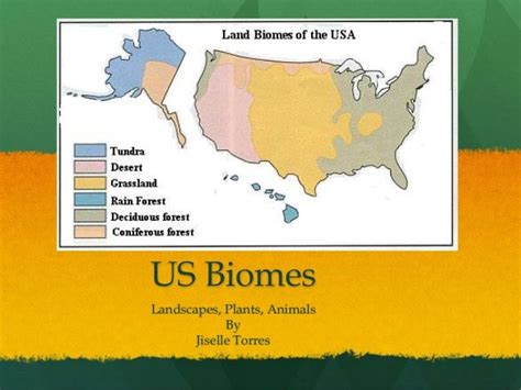 Biome Map Of Usa