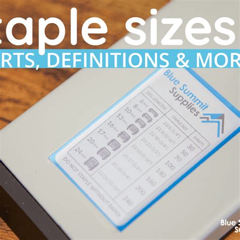 Staple Sizes: Charts, Definitions, And More For All Types, 40% OFF