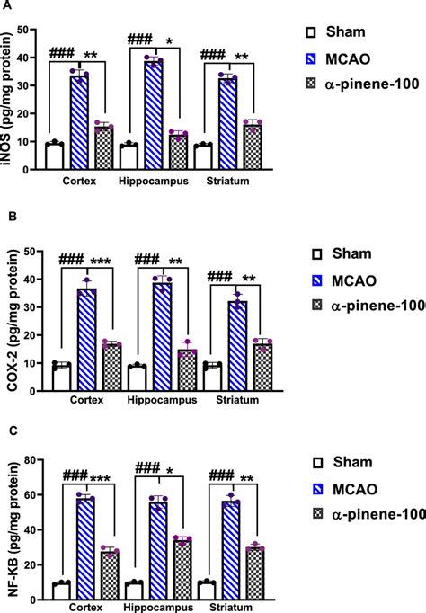 Effect Of Alpha Pinene Treatment On The Protein Expression Of Cox 2