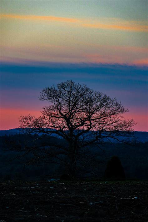 East Coast Sunrise Photograph by Ronald Raymond | Fine Art America