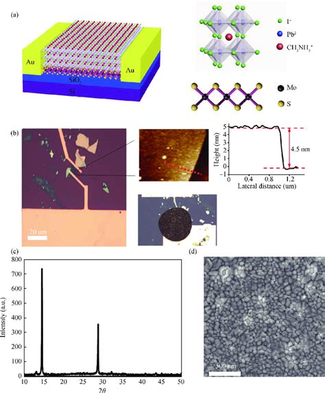 Color Online A Schematic Of The Perovskite Mos Photodetector The