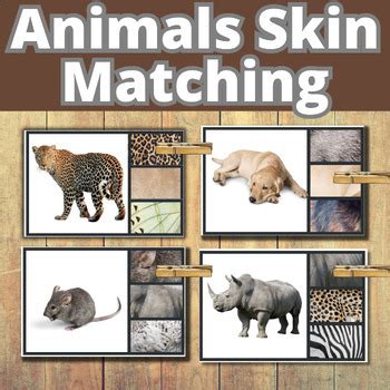 Animals Skin Matching/ GAME/ Real Photographs Science Centers Montessori