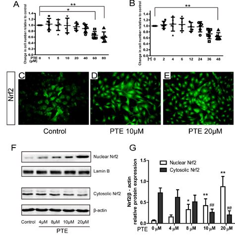 Figure 1 From Pterostilbene Inhibits Inflammation And ROS Production In