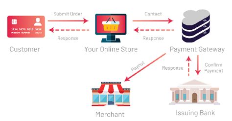 Payment Gateway White Label Solution | Cricpayz Blog