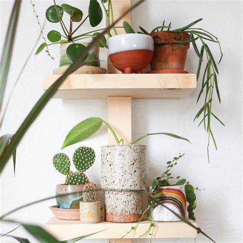 Easy Modern Plant Shelf DIY to Display Plants