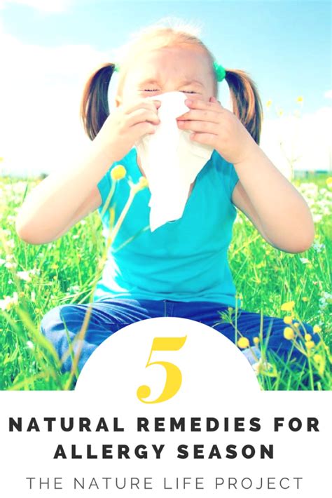 5 Natural Remedies For Allergy Season The Nature Life Project