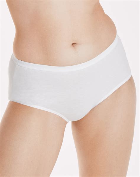 Hanes Ultimate High Waisted Comfort Womens Breathable Cotton Brief