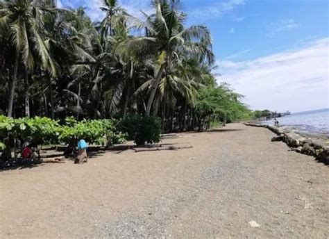 For Sale 7000sqm Beach Lot In Danao Cebu Along National Highway 20k Per Sqm