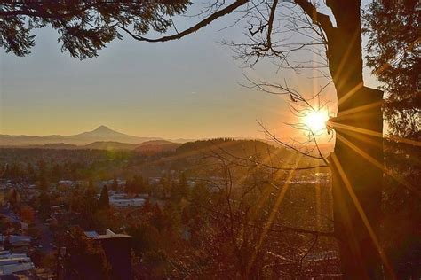 Guided Hike on Portland's Mt. Tabor Volcano: Awesome City Views!