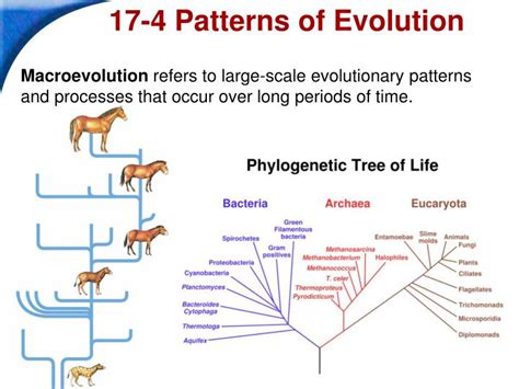 PPT Biology PowerPoint Presentation ID 311929