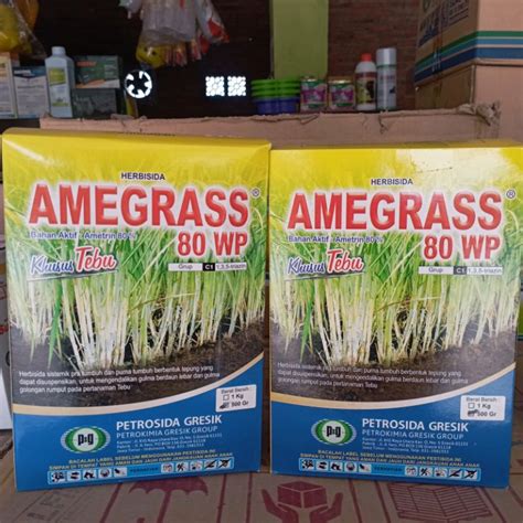 Jual AMEGRASS 80WP KEMASAN 500G HERBISIDA SISTEMIK SELEKTIF PRA TUMBUH