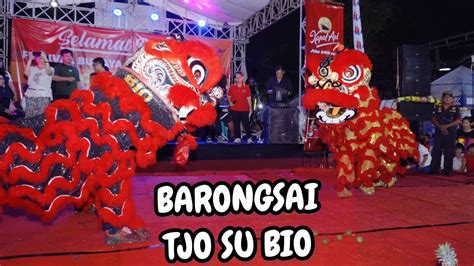 PENAMPILAN BARONGSAI TJO SU BIO DI SEJIET MPE PEH CUN 2023 YouTube