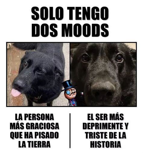 Solo tengo dos moods La persona más graciosa que ha pisado la tierra