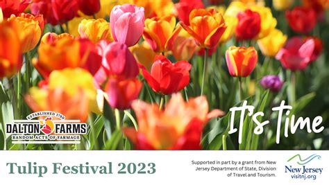 Dalton Farms 2023 Tulip Festival Nj Heartland Nj Heartland