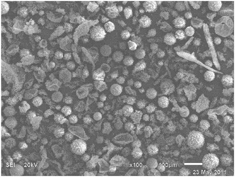 Preparation Method Of Microcapsule Material With Damping And