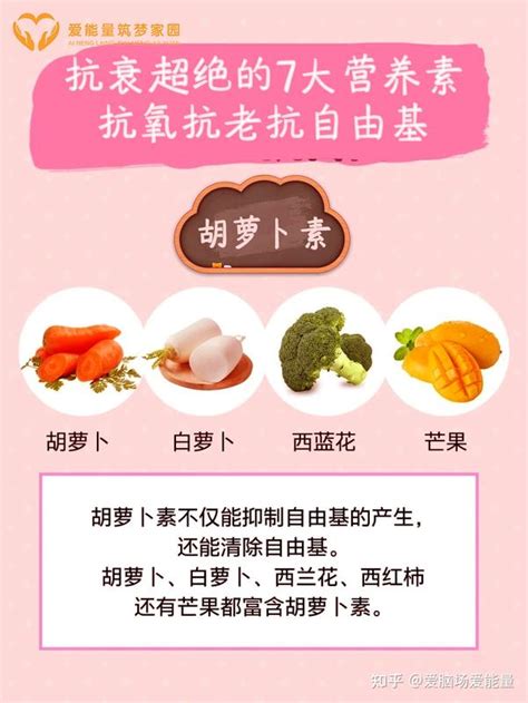 抗衰老7大营养素，抗氧化饮食首选 知乎