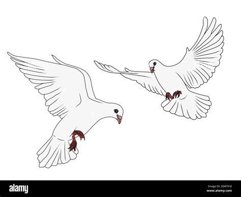 White Dove Flying Drawing