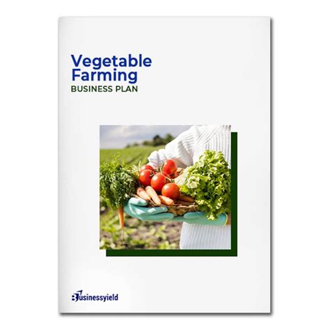 Vegetable Farming Business Plan (+ 3 Years Financial Projections)