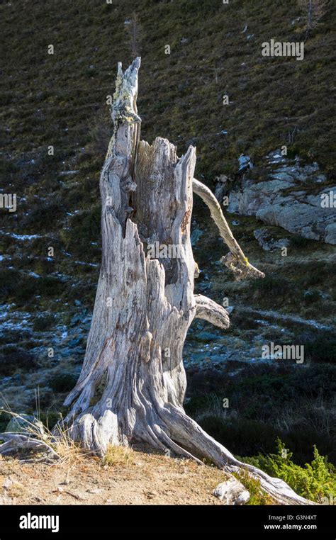 Im Hohlen Kofferraum Fotos Und Bildmaterial In Hoher Aufl Sung Alamy